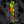 Load image into Gallery viewer, Comic Pop Arrow Wrap - 11
