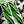 Load image into Gallery viewer, Comic Pop Arrow Wrap - 13
