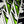 Load image into Gallery viewer, Comic Pop Arrow Wrap - 23

