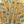 Load image into Gallery viewer, "Band-Aid" Arrow Wraps

