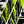Load image into Gallery viewer, Comic Pop Arrow Wrap - 28
