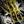 Load image into Gallery viewer, Metallic Arrow Wraps
