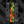 Load image into Gallery viewer, Comic Pop Arrow Wrap - 65
