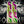 Load image into Gallery viewer, Comic Pop Arrow Wrap - 82
