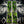 Load image into Gallery viewer, Comic Pop Arrow Wrap - 84

