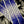 Load image into Gallery viewer, Honeycomb Break Up Arrow Wraps
