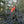 Load image into Gallery viewer, STANDARD Full-Length Custom Orthotic - COLLECTIVE
