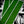 Load image into Gallery viewer, Houndstooth Arrow Wraps

