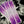 Load image into Gallery viewer, Honeycomb Break Up Arrow Wraps
