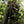 Load image into Gallery viewer, Stealth Bombers
