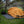 Load image into Gallery viewer, THE BARRIER MAT
