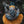Load image into Gallery viewer, DIRTBAG
