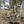Load image into Gallery viewer, Stealth Bombers
