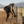Load image into Gallery viewer, STANDARD Full-Length Custom Orthotic - COLLECTIVE

