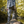 Load image into Gallery viewer, STANDARD Full-Length Custom Orthotic - COLLECTIVE
